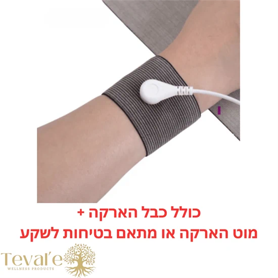 רצועת הארקה ליד